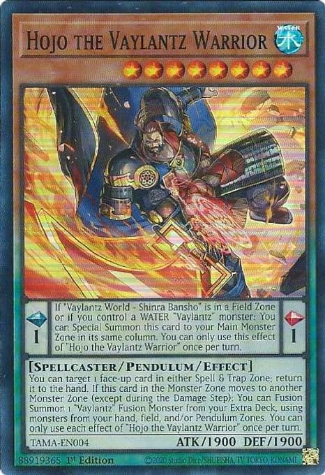 Hojo the Vaylantz Warrior