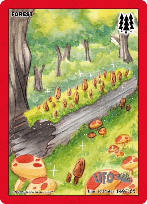 Forest