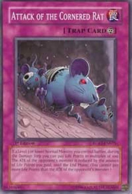Attack of the Cornered Rat
