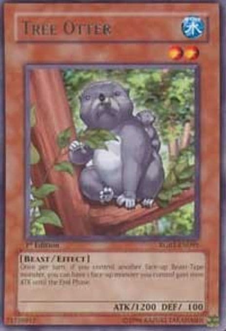 Tree Otter