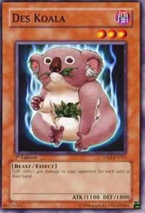 Des Koala
