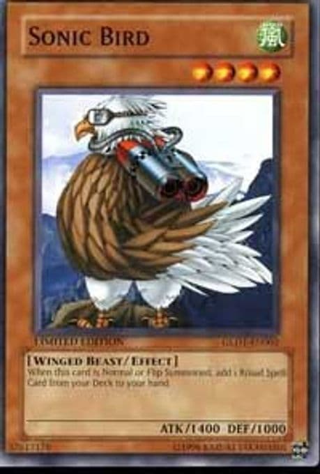 Sonic Bird