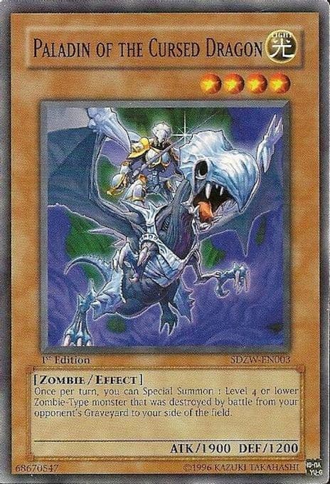 Paladin of the Cursed Dragon