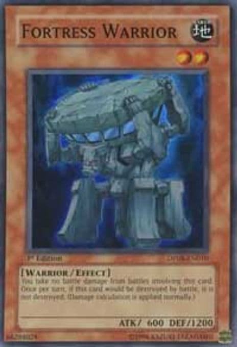 Fortress Warrior