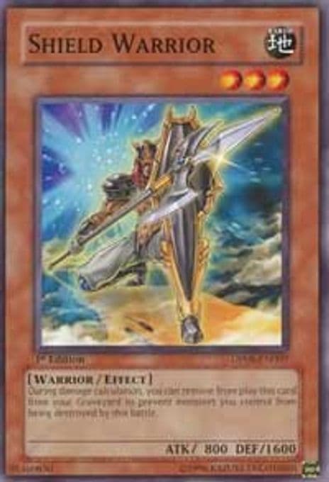 Shield Warrior