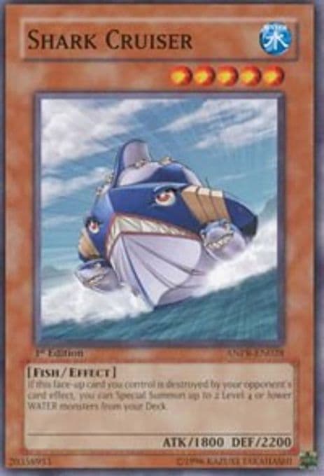 Shark Cruiser