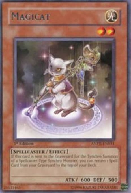 Magicat