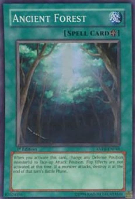 Ancient Forest