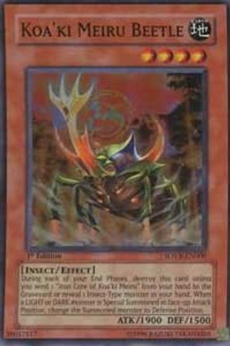 Koa'ki Meiru Beetle
