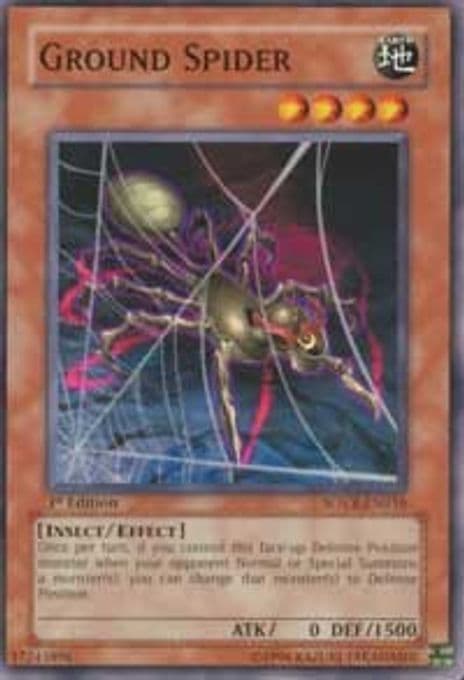 Ground Spider