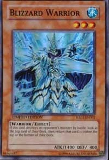 Blizzard Warrior