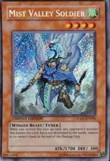 Mist Valley Soldier