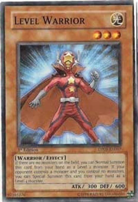Level Warrior