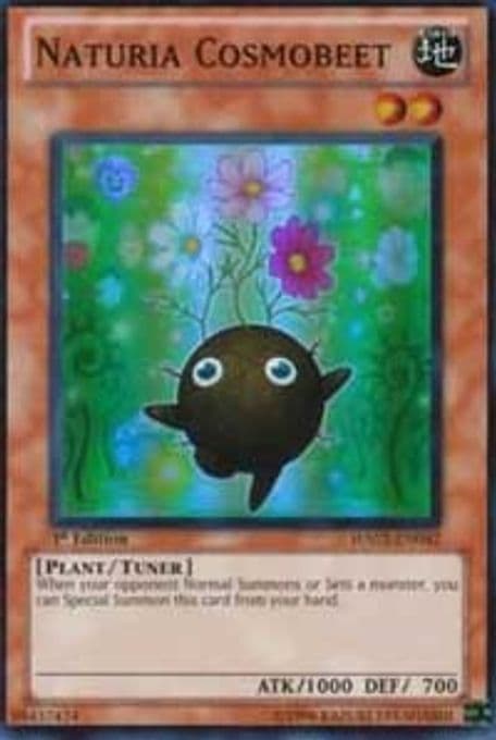 Naturia Cosmobeet