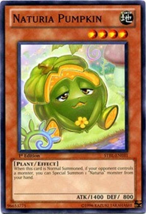 Naturia Pumpkin