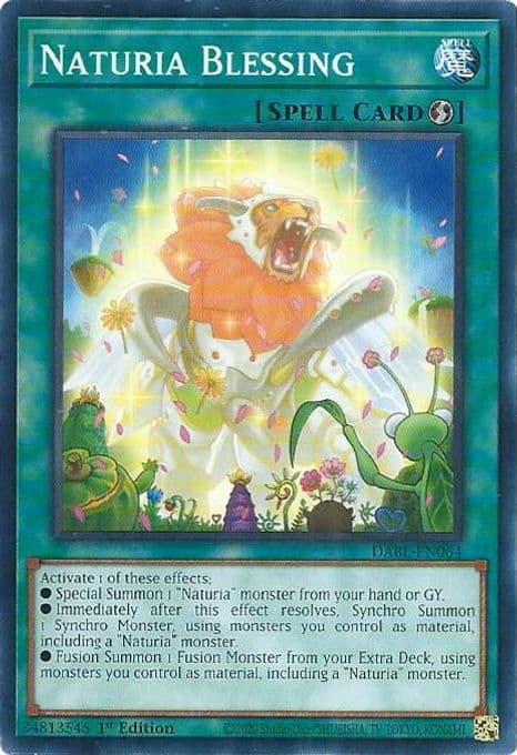 Naturia Blessing