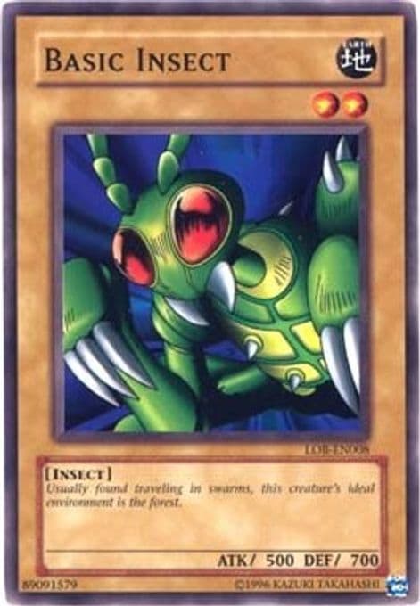 Basic Insect