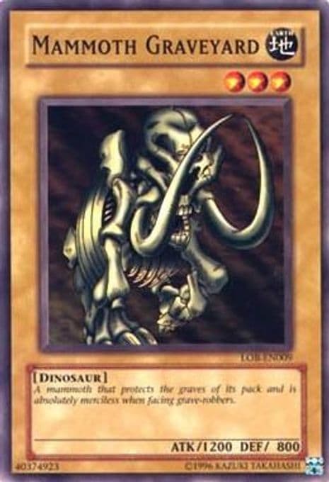 Mammoth Graveyard