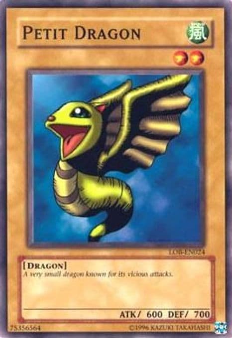 Petit Dragon