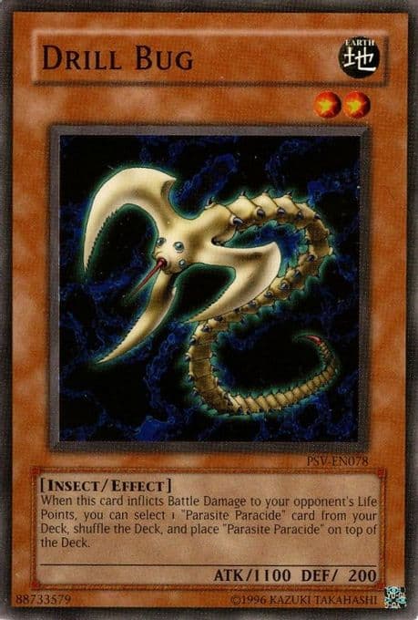 Drill Bug