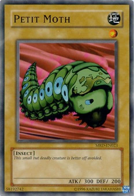 Petit Moth
