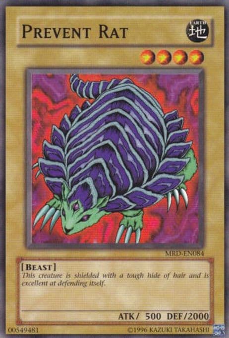 Prevent Rat