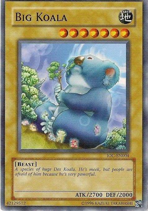 Big Koala