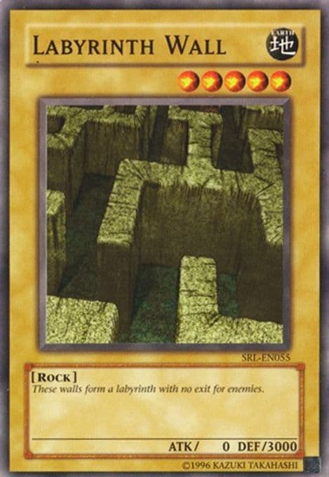 Labyrinth Wall