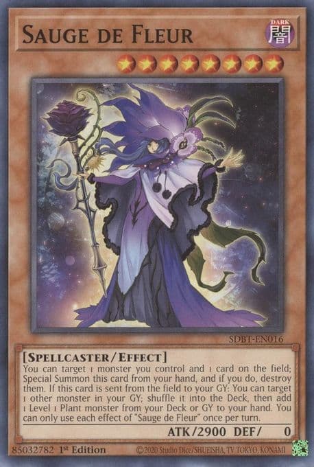 Sauge de Fleur