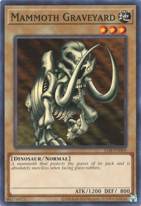 Mammoth Graveyard