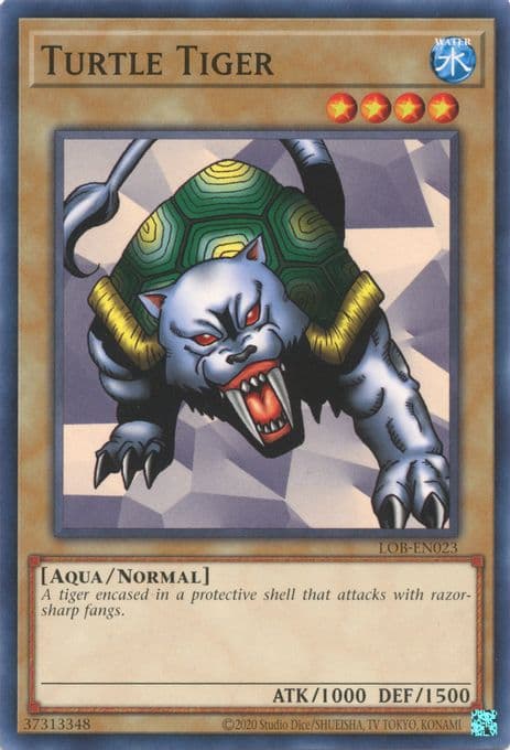 Turtle Tiger