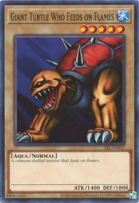 Giant Turtle Who Feeds on Flames