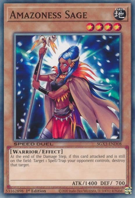 Amazoness Sage