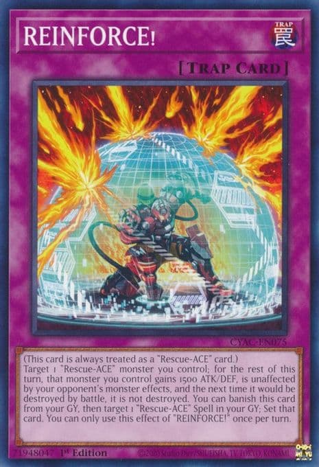 REINFORCE!