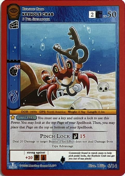Keyhole Crab