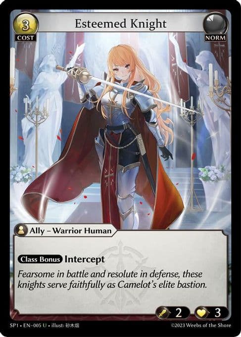 Esteemed Knight