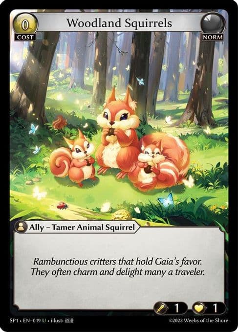 Woodland Squirrels