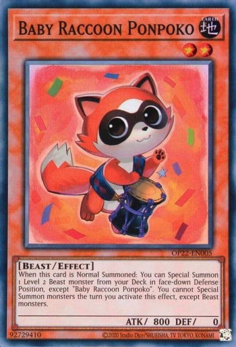 Baby Raccoon Ponpoko