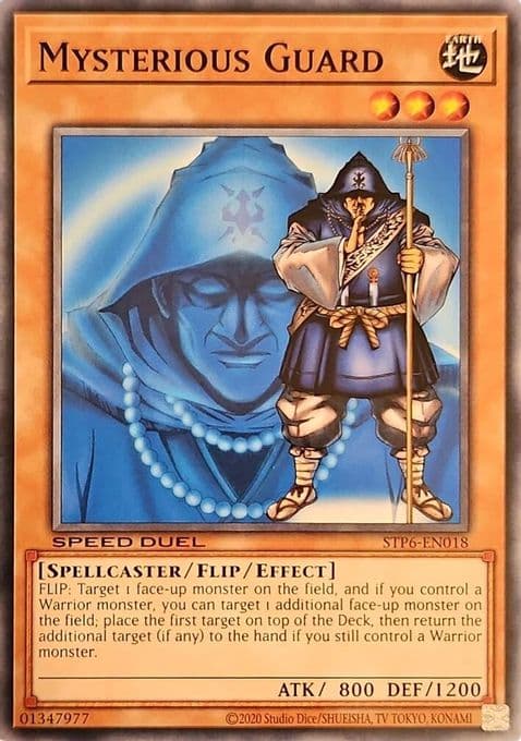Mysterious Guard