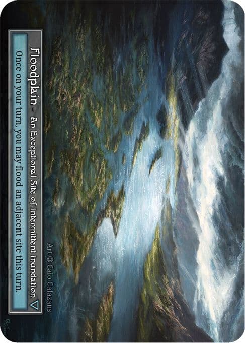 Floodplain (Foil)