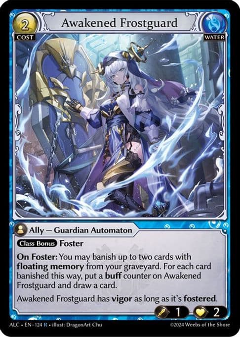 Awakened Frostguard