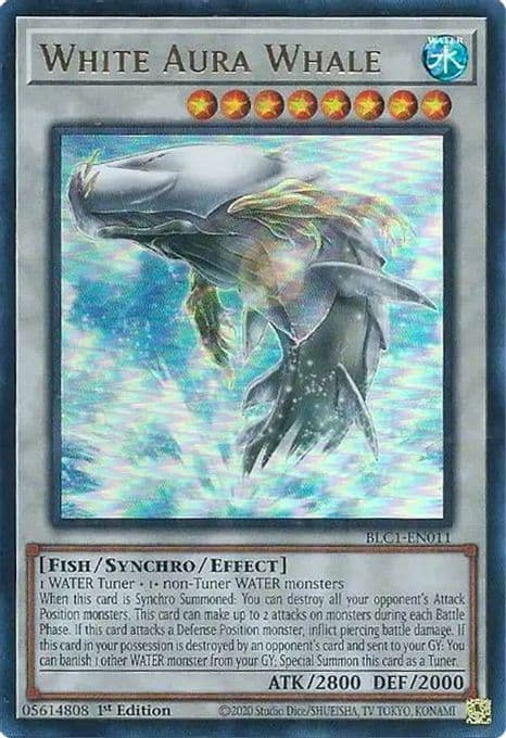 White Aura Whale