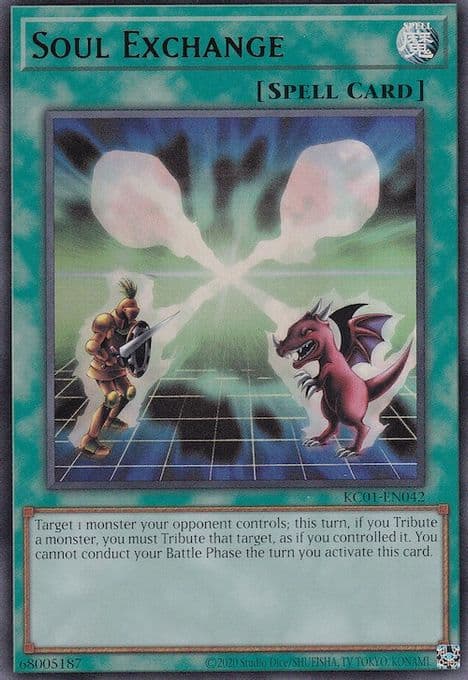 Soul Exchange