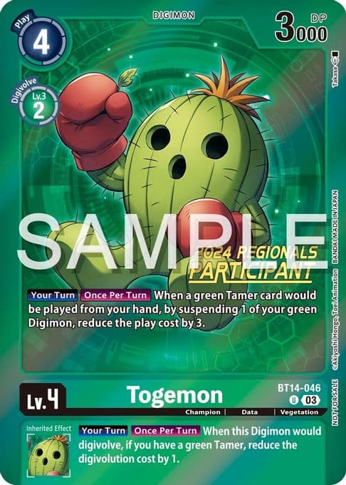 Togemon (2024 Regionals Participant)