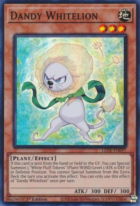Dandy Whitelion