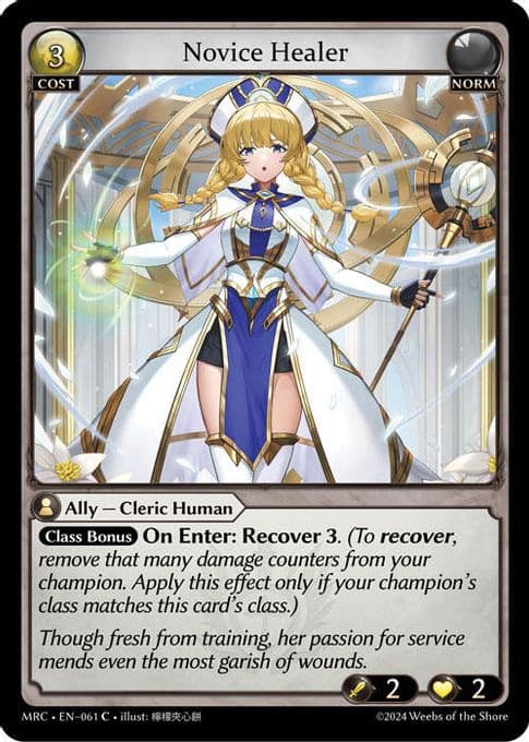 Novice Healer