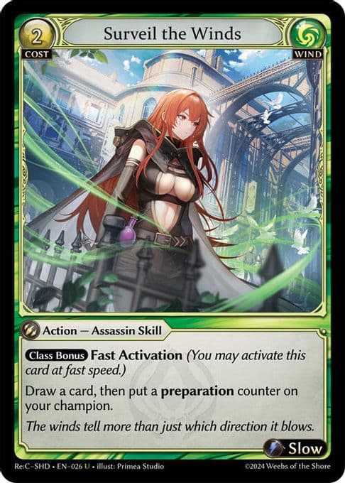 Surveil the Winds