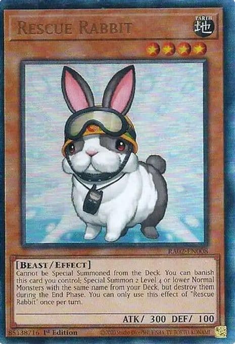 Rescue Rabbit (PUR)