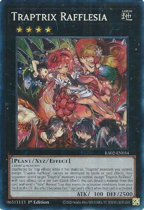 Traptrix Rafflesia (PCR)