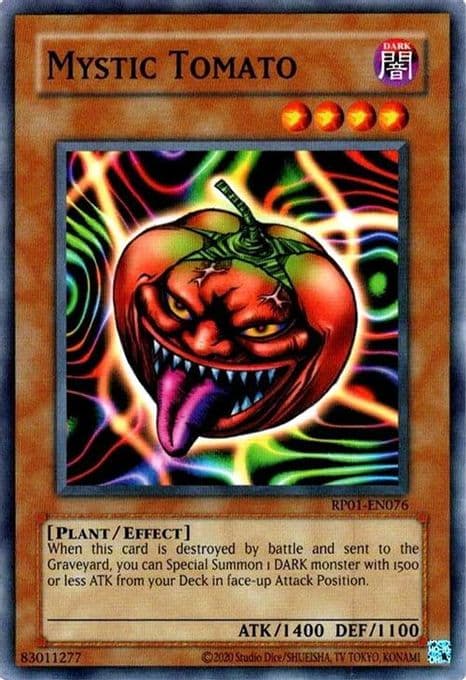Mystic Tomato